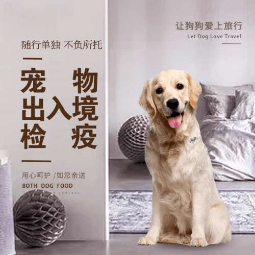 伊犁宠物托运到哥伦比亚猫狗宠物入境规定和