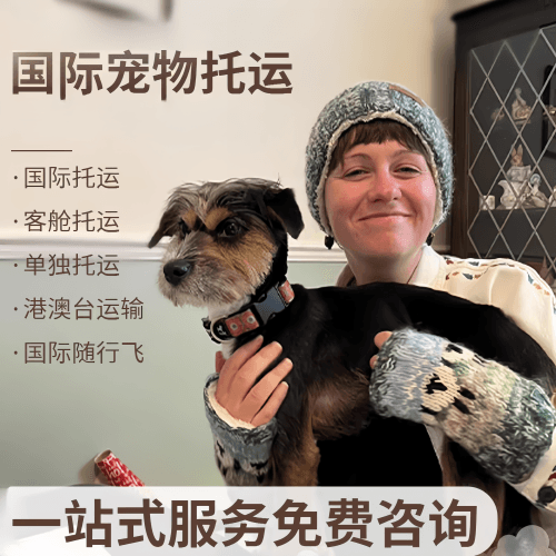 伊犁国际宠物托运到阿根廷宠物入境规定和要