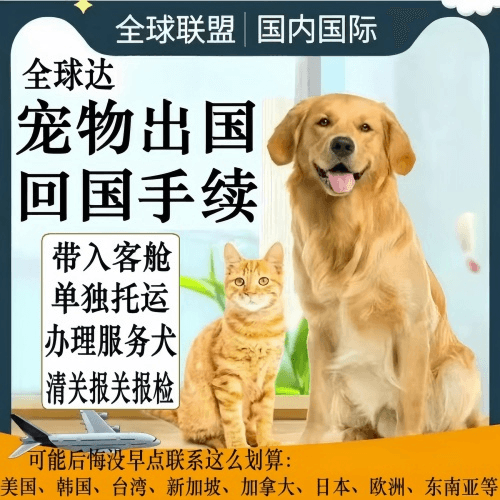 伊犁宠物托运到柬埔寨宠物入境规定和要求
