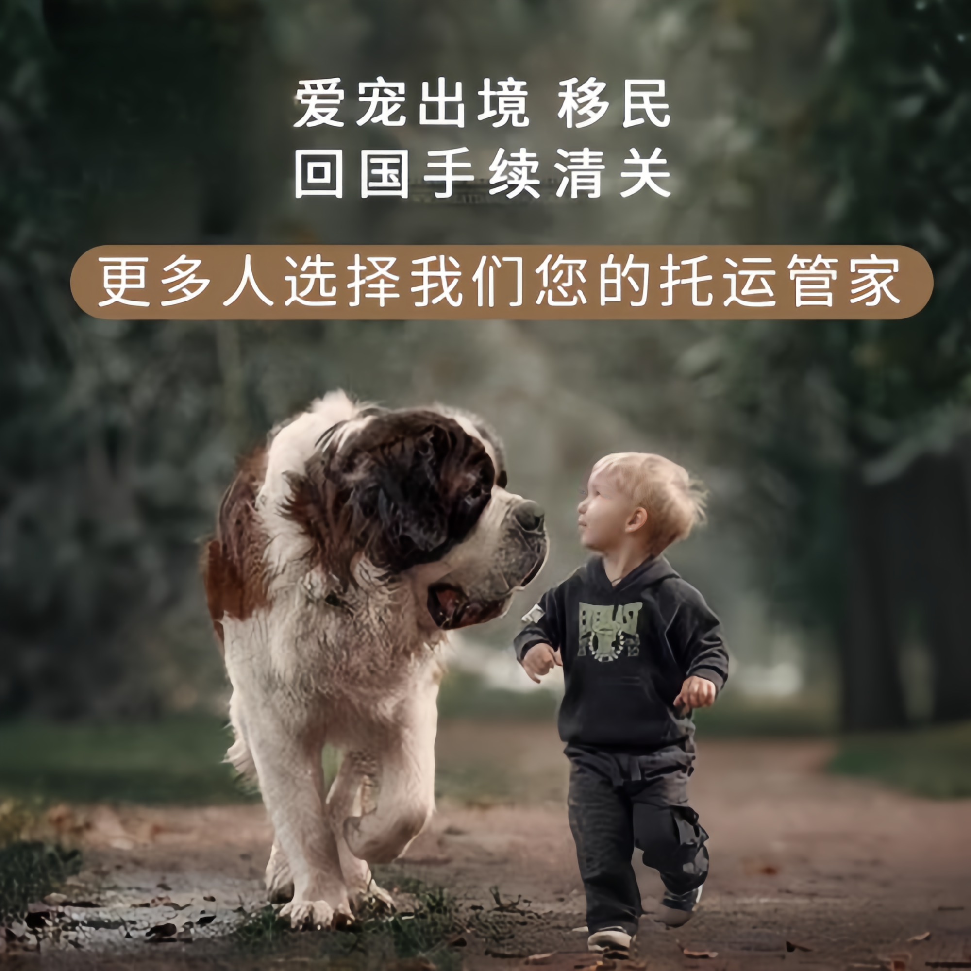满财伊犁宠物全球达宠物托运在遵守入境目的地政策的条件