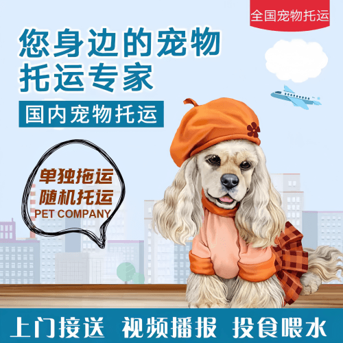 满财伊犁宠物全球达宠物托运作为专业的宠物运输代理机构